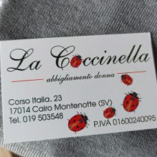 la coccinella